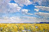 Desert Canvas Paintings - Afternoon Sky, Harney Desert